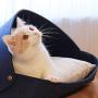 valen Pet Dog & Cat Bed | Washable Felted Cat Bed | Nordic Style | Suitable for Cats Under 16.5 LBS