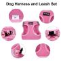 PINA Dog Harness, No-Pull Pet Harness with 2 Leash Clips, Adjustable Soft Padded Dog Vest, Reflective No-Choke Pet Oxford Vest with Easy Control Handle for Small Dog（Light Pink）