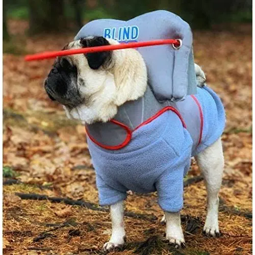 Muffin’s Halo Blind Dog Harness Guide Device – Help for Blind Dogs to Avoid Accidents & Build Confidence – Ideal Blind Dog Accessory to Navigate Surroundings. (M, Gray) Muffin’s Halo Blind Dog Harness Guide Device – Help for Blind Dogs to Avoid Accidents & Build Confidence – Ideal Blind Dog Accessory to Navigate Surroundings. (M, Gray)