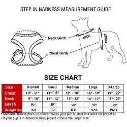 Zhongde No Pull Dog Harness and Leash Set for Small Medium Large Dogs, Adjustable Step in Pet Vest, Easy Control Breathable Mesh Harnesses with Reflective Straps