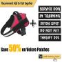 Bolux Dog Harness, No-Pull Reflective Breathable Adjustable Pet Vest with Handle for Outdoor Walking - No More Pulling, Tugging or Choking Bolux Dog Harness, No-Pull Reflective Breathable Adjustable Pet Vest with Handle for Outdoor Walking - No More Pulling, Tugging or Choking