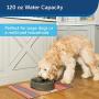 PetSafe Current Pet Fountain, Circulating Drinking Fountain for Cats and Dogs