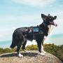 OneTigris Service Dog Harness,Tactical Dog Vest- Removable Neck Strap Compatible with Assistance Harness & Handle