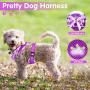 Weewooday 3 Pieces Checkered Frills Dog Vest Soft Mesh Breathable Puppy Padded Vest Lightweight Adjustable Dog Harness Set Suitable for Chest 12 to 18 Inch, Neck 9.8 Inch
