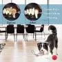 NEDOGEX Dog Rope Toys for Aggressive Chewers Medium Dogs Indestructible Tug Toy for Dogs Tough Rope for Pressure Relief and Teeth Cleaning 3 Pack NEDOGEX Dog Rope Toys for Aggressive Chewers Medium Dogs Indestructible Tug Toy for Dogs Tough Rope for Pressure Relief and Teeth Cleaning 3 Pack