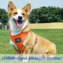 ThinkPet Reflective Breathable Soft Air Mesh No Pull Puppy Choke Free Over Head Vest Ventilation Harness for Puppy Small Medium Dogs and Cats