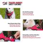 Tracker - No Pull Dog Harness | Front And Back Leash Attachment Points | 3M Reflective Stitching Increases Safety At Night | 5 Point Adjustable Fit Harness For Dogs | Padded Dog Harness For Comfort