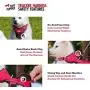 Tracker - No Pull Dog Harness | Front And Back Leash Attachment Points | 3M Reflective Stitching Increases Safety At Night | 5 Point Adjustable Fit Harness For Dogs | Padded Dog Harness For Comfort Tracker - No Pull Dog Harness | Front And Back Leash Attachment Points | 3M Reflective Stitching Increases Safety At Night | 5 Point Adjustable Fit Harness For Dogs | Padded Dog Harness For Comfort