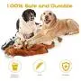 Dog Squeaky Toys, No Stuffing Plush Chew Toy for Small Medium Dogs Puppy Aggressive Chewers Large Breed, 5 Pack Cute Animals (Raccoon Squirrel Tiger Fox and Lion)