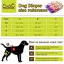 Cos2be Female Dogs Diapers Washable Reusable Wraps,Soft & Comfortable Diapers for Small to Middle Dog-Pack of 3(XS)