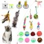 HAITRAL 20 Pcs Cat Toys Kitten Toys Assortments - Cat Toys for Indoor Cats, Kitten Toys Bulk with Cats Teaser Wand & Toy Mice & Balls Pet Toys for Cats, Ferret, Kitty, Kitten