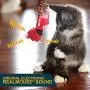 Our Pets Play-N-Squeak RealBirds Wand Interactive Cat Toy