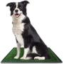 Ideas In Life Dog Potty Grass Pee Pad – Artificial Pet Grass Patch for Dogs Indoor Outdoor Litter Box