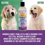 Premium Soothing Gentle Puppy Dog Shampoo | Aloe Vera and Lavender Oil | All Natural Moisturizing Pet Wash for Puppies, Dogs and Cats - Made in USA - 1 Bottle 17oz (503ml)