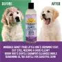 Premium Soothing Gentle Puppy Dog Shampoo | Aloe Vera and Lavender Oil | All Natural Moisturizing Pet Wash for Puppies, Dogs and Cats - Made in USA - 1 Bottle 17oz (503ml) Premium Soothing Gentle Puppy Dog Shampoo | Aloe Vera and Lavender Oil | All Natural Moisturizing Pet Wash for Puppies, Dogs and Cats - Made in USA - 1 Bottle 17oz (503ml)