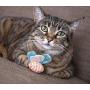 Petlinks Electronic Light Cat Toy