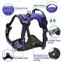 WINSEE Dog Harness No Pull, Pet Harnesses with Dog Collar, Adjustable Reflective Oxford Outdoor Vest, Front/Back Leash Clips for Small, Medium, Large, Extra Large Dogs, Easy Control Handle for Walking