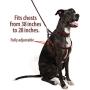 Logical Leather Adjustable Dog Harness