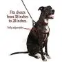 Logical Leather Adjustable Dog Harness Logical Leather Adjustable Dog Harness