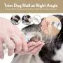 Dog Nail Grinder Upgraded Professional 2-Speed Pet Nail Drill Quiet Low Vibration Pet Nail Clipper Rechargeable Electric Pet Nail Trimmer Painless Cat Paw Grooming Smoothing Tool for Small Large Dogs
