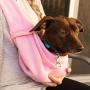 Doublerichad Reversible Pet Dog Cat Sling Carrier Wrap Up to 11 Pounds for Small Dogs Cats Hand Free Outdoor Sling Adjustable Strap Tote Bag Breathable Shoulder Bag