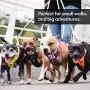 Hurtta Weekend Warrior Dog Harness, Neon Orange, 32-39 in