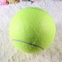 Dog Toys 24CM Giant Ball Pet Chew Toy Big Inflatable