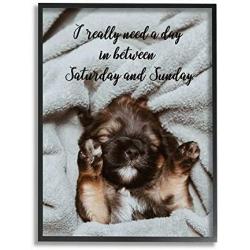 Stupell Industries Three Day Weekend Phrase Funny Puppy Pet Humor, Designed by Ziwei Li Wall Art, 16 x 20, Black Framed