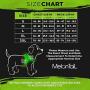MelonTaiL Light Up Dog Harness with Bungee Leash-Rechargeable LED Light Dog Vest for Night Walking-Reflective Illuminated Harness for Extra Visibility-Glow in The Dark Lighted Vest for Dogs