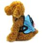 Alfie Pet - Oliga Backpack Harness with Leash Set