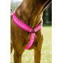Hurtta Pet Collection Padded Y-Harness