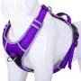 AdventureMore No Pull Harness Breathable Harness with Top Handle - Reflective Padded Dog Safety Vest Adjustable Harness, Back/Front Clip for Better Control AdventureMore No Pull Harness Breathable Harness with Top Handle - Reflective Padded Dog Safety Vest Adjustable Harness, Back/Front Clip for Better Control