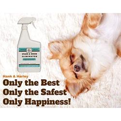 PET STAIN & ODOR ELIMINATOR with Urine Destroyer Enzymes. Dual action urease and 2X biological cleaners attack dog and cat waste and pee. FRAGRANCE FREE, safe for pets, surfaces and cleaning machines