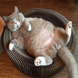 raillery Cat Scratcher Lounge Bed - Collapsible Round Shape Scratching Board for Big cat (US Warehouse,Arrive in 5-8 Days)