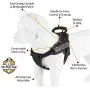 Service Dog Vest Harness - Military Grade Assistance Dog Harness with Removable Reflective Patches - Comfortable & Safe - Handle for Maximum Training, Walking Control (Free ADA Card Download) Service Dog Vest Harness - Military Grade Assistance Dog Harness with Removable Reflective Patches - Comfortable & Safe - Handle for Maximum Training, Walking Control (Free ADA Card Download)