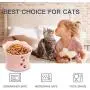 Frewinky Cat Bowl,Ceramic Cat Bowls Anti Vomiting,Raised Cat Food Bowl for Flat Cats and Small Dogs,Tilted Elevated Cat-Bowl Protect Pets Spine,No Whisker Fatigue