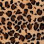 EXPAWLORER Self Heating Cat Pad for Pet, Warming Pet Bed Mat Safety Cat Pad with Leopard Print Great for Puppies and Cats in Cold Weather, Beige