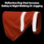 Reflective Dog Vest for Night Time, Fluorescent Dog Apparel, Adjustable Dog Coat Strap & Breathable Material Ideal to Keep Dogs Safe While Walking & Hunting (M, Orange)