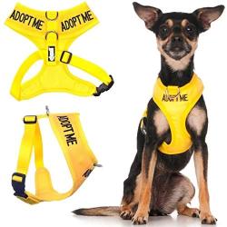 Dexil Limited Adopt ME (I Need A New Home) Yellow Color Coded Non-Pull Front and Back D Ring Padded and Waterproof Vest Dog Harness Prevents Accidents by Warning Others of Your Dog in Advance