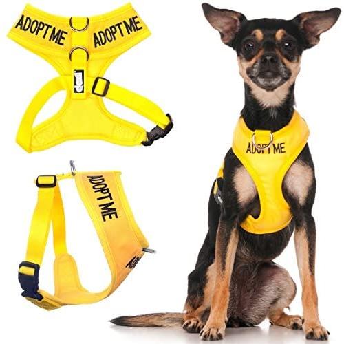 Dexil Limited Adopt ME (I Need A New Home) Yellow Color Coded Non-Pull Front and Back D Ring Padded and Waterproof Vest Dog Harness Prevents Accidents by Warning Others of Your Dog in Advance