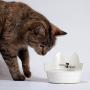 Messy Meow Cat Bowl
