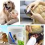 GARYOB Pet Dental Fingers Wipes, 50 Wipes & Pet Dental Fingers Wipes 50 Wipes
