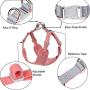 BONAWEN Puppy Harness Leash Set Lightweight Adjustable No Pulling Dog Vest Heavy Duty