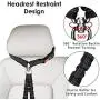 AUTOWT Double Dog Seat Belt, New Dual Pet Car Headrest Restraint Safety Seatbelt No Tangle Dog Leash Duty Adjust Elastic Bungee Puppy Lead Splitter Connect Harness in Vehicle Travel for 2 Dogs AUTOWT Double Dog Seat Belt, New Dual Pet Car Headrest Restraint Safety Seatbelt No Tangle Dog Leash Duty Adjust Elastic Bungee Puppy Lead Splitter Connect Harness in Vehicle Travel for 2 Dogs