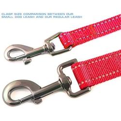 Max and Neo Reflective Nylon Dog Leash - We Donate a Leash to a Dog Rescue for Every Leash Sold