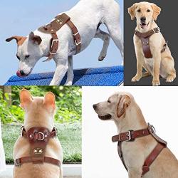 Beirui Genuine Leather Dog Harness Pet Training Walking Harness for Medium Large Dogs Pitbull Boxer Mastiff