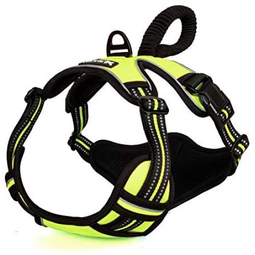 PremiPet No Pull Dog Harness, Breathable Pet Vest for Outdoor Walking Training Control for Medium Large Breeds