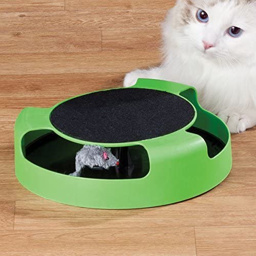 Catch the Mouse Motion Cat Toy Incredibly Fun to Play With and Amusing to Watch