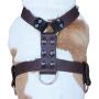 Genuine Leather Dog Harness X-Large 33''-40'' Chest, 1.3'' Wide Adjustable Straps