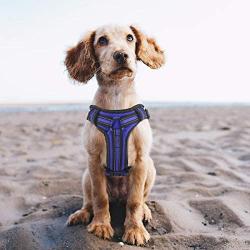 No-Pull Dog Harness, Reflective Adjustable Pet Harness with Front & Back - Soft Vest Easy Control Harness with Handle for Small Medium Large Dogs Outdoor Walking